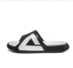 PEAK TAICHI Unisex Lightweight slipper Shock Breathable Absorbing Sneakers Fashion Casual Sport Shoes TAICHI Technology