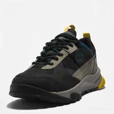 Мужские кроссовки для активного отдыха Timberland Lincoln Peak Low GTX Мультиколор